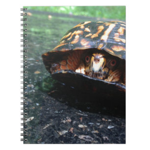 Box Turtle Notizblock