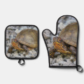 Box Turtle Ofenhandschuh & Topflappen-Set (Vorderseite)