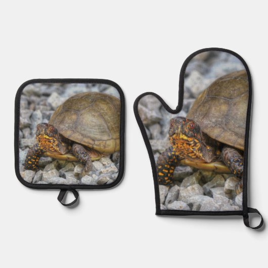 Box Turtle Ofenhandschuh & Topflappen-Set (Vorderseite)