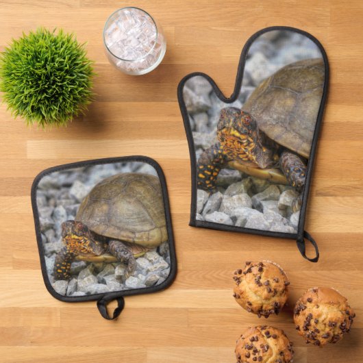 Box Turtle Ofenhandschuh & Topflappen-Set (Oben Unten)
