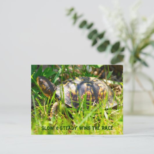 Box Turtle Postcard Postkarte (Stehend Vorderseite)