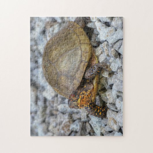 Box Turtle Puzzle (Vertikal)