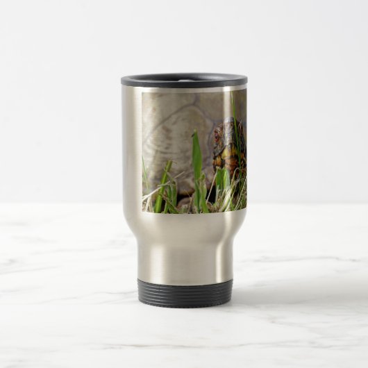 Box Turtle Reisebecher (Mittel)