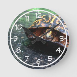 Box Turtle Runde Wanduhr