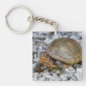 Box Turtle Schlüsselanhänger (Vorderseite)