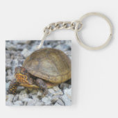 Box Turtle Schlüsselanhänger (Rückseite)