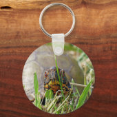 Box Turtle Schlüsselanhänger (Vorderseite)