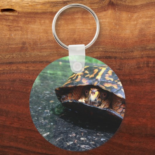 Box Turtle Schlüsselanhänger (Vorderseite)