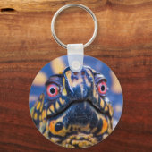 Box Turtle Schlüsselanhänger (Vorderseite)