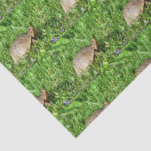 Box Turtle Seidenpapier (Detail)