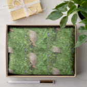Box Turtle Seidenpapier (Geschenk)