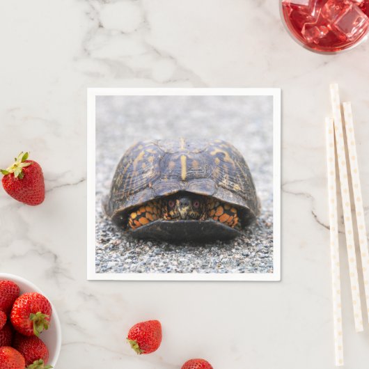Box Turtle Serviette (Beispiel)