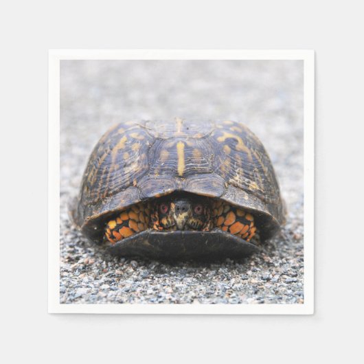 Box Turtle Serviette (Vorderseite)