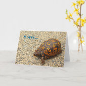Box Turtle Sorry Belated Birthday Karte (Gelbe Blume)