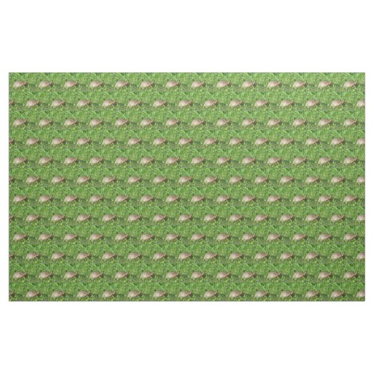 Box Turtle Stoff (Yard (91,4 cm))