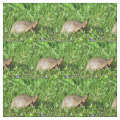 Box Turtle Stoff (Muster)