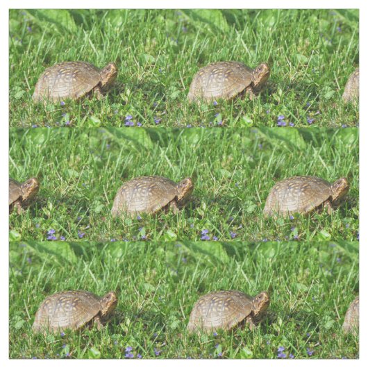 Box Turtle Stoff (Muster)