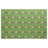 Box Turtle Stoff (Fat Quarter (45,7 x 55,9 cm))