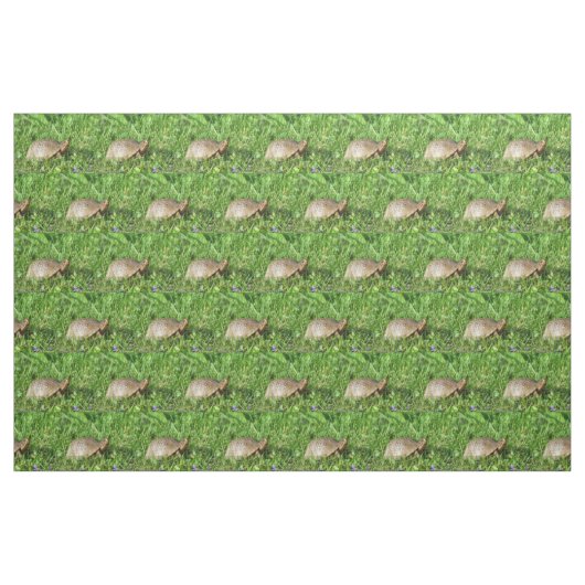 Box Turtle Stoff (Fat Quarter (45,7 x 55,9 cm))