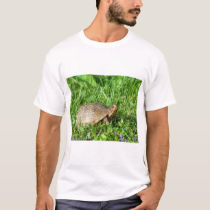 Box Turtle T-Shirt