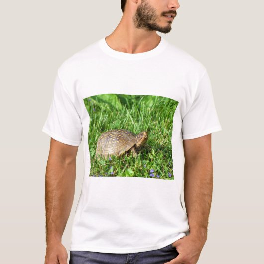 Box Turtle T-Shirt (Vorderseite)