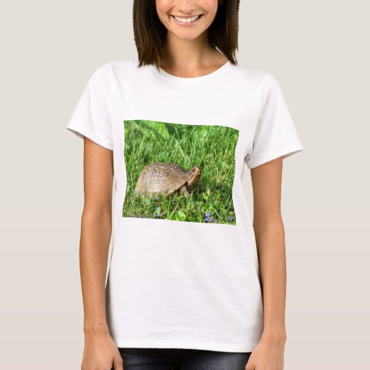Box Turtle T-Shirt (Vorderseite)
