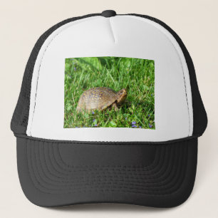 Box Turtle Truckerkappe