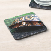 Box Turtle Untersetzer (Linke Seite)