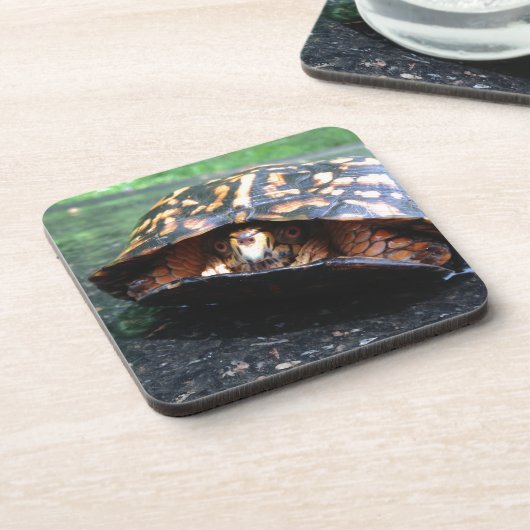 Box Turtle Untersetzer (Linke Seite)