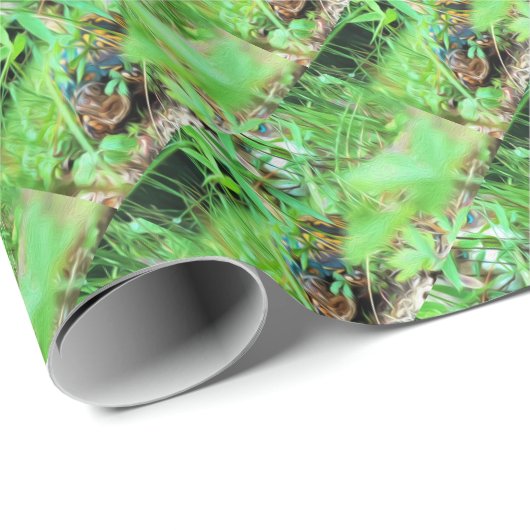 Box Turtle Wrapping Paper Geschenkpapier (Rolleneckpunkt)