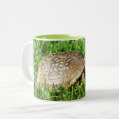 Box Turtle Zweifarbige Tasse (Vorderseite Links)
