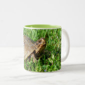 Box Turtle Zweifarbige Tasse (VorderseiteRechts)