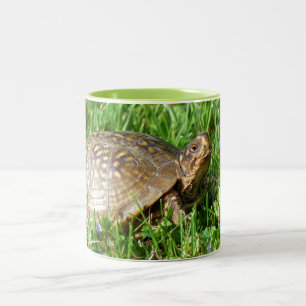 Box Turtle Zweifarbige Tasse