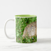 Box Turtle Zweifarbige Tasse (Links)