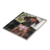 Boxbaby Fliese (Seite)