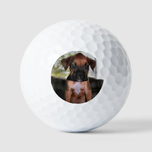 Boxbaby Golfball (Vorderseite)