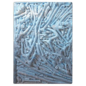 Boxcuttings: Blau Klemmbrett (Rückseite)