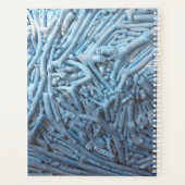 Boxcuttings: Blau Planer (Rückseite)