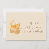 Boxed & Bounded Cat Moving Ankündigung (Vorderseite)
