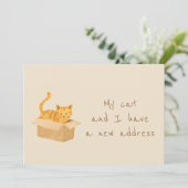 Boxed & Bounded Cat Moving Ankündigung (Stehend Vorderseite)