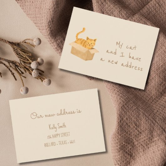 Boxed & Bounded Cat Moving Ankündigung