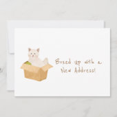 Boxed Up mit einer neuen Adresse! Cat Moving Ankündigung (Vorderseite)