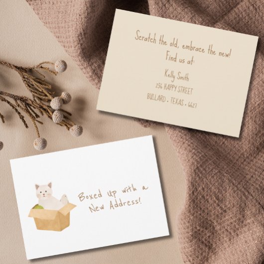 Boxed Up mit einer neuen Adresse! Cat Moving Ankündigung