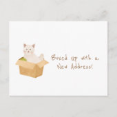 Boxed Up mit einer neuen Adresse! | Cat Zuhause Mo Postkarte (Vorderseite)