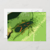 Boxelder Bug Postkarte (Vorne/Hinten)