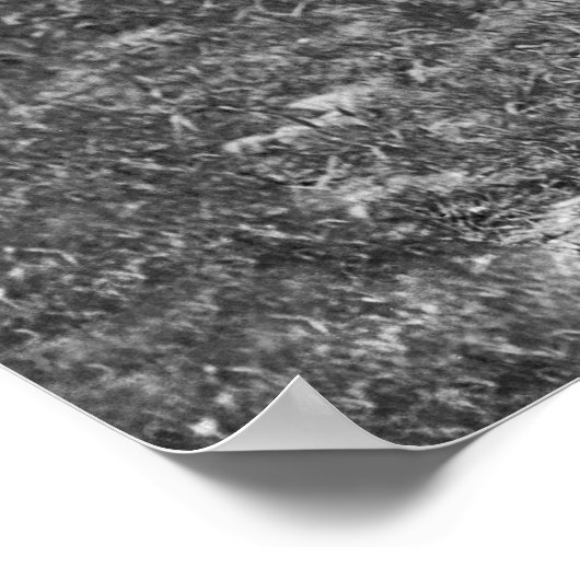 Boxen im Hinterhof: 1912 Poster (Ecke)