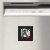 Boxen , Mexikanische Flagge Magnet (In Situ (Geschirrspüler))