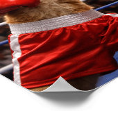 Boxende Katzen Poster (Ecke)