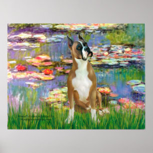 Boxer 1 (beschnitten) - Seerosen 2 Poster