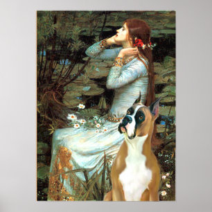 Boxer 1 (gestutzte Ohren) - Ophelia Poster